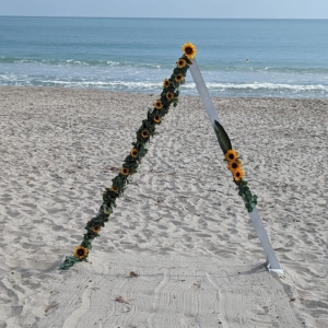 Triangle Sunflower 330333901_128484336621023_2096188873494914420_n