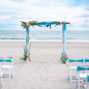 Driftwood wedding arch