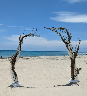 Driftwood wedding arch melbourne beach florida