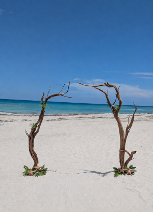 Driftwood 2026 basic Details Jun 12, 2026, 11_25_44 AM