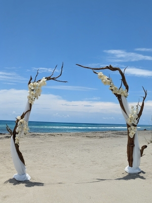 Driftwood arch cocoa beach wedding